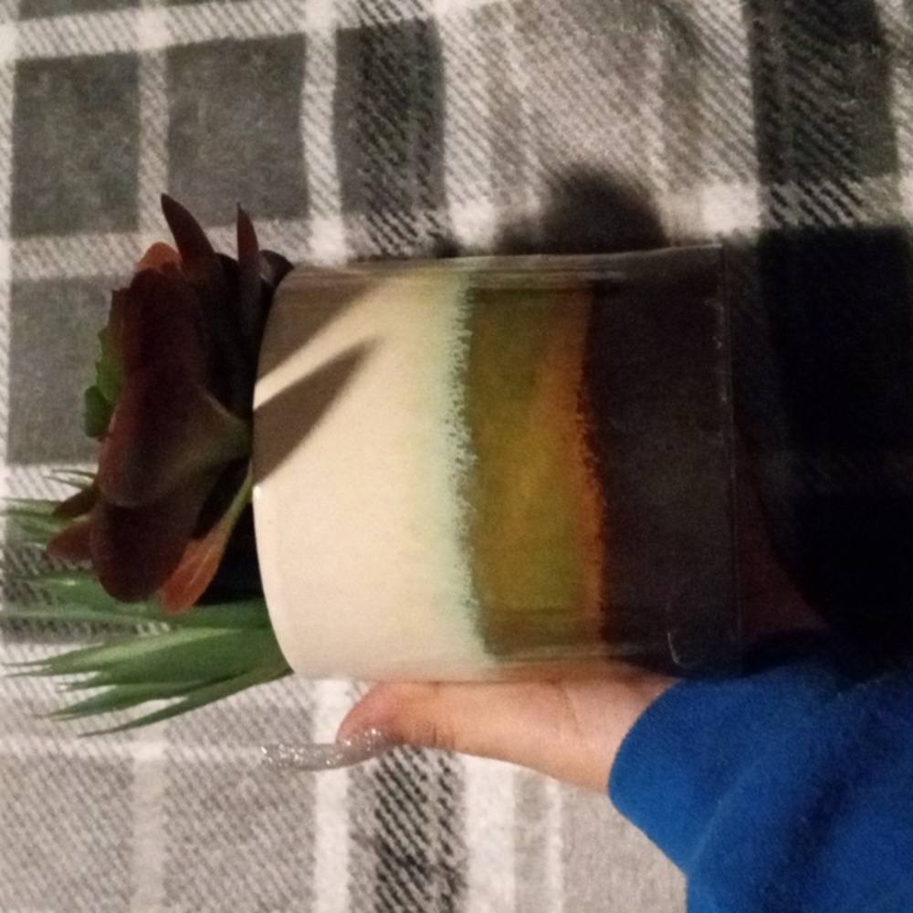Home decor plant